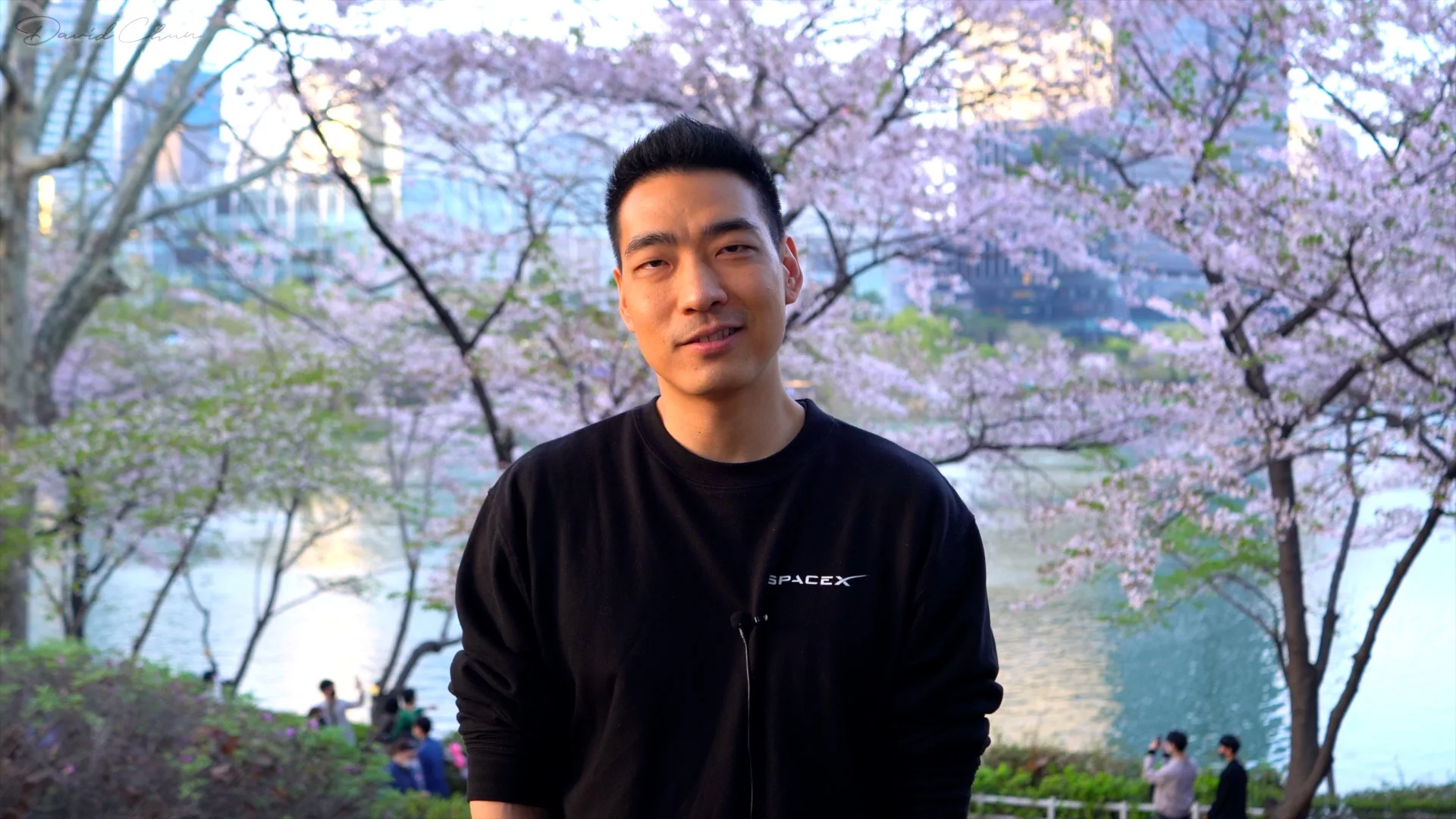 david chun blossom 2